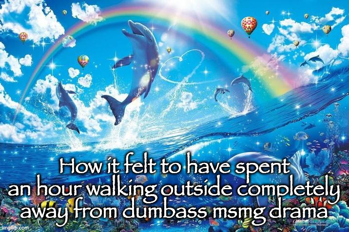 Happy dolphin rainbow | How it felt to have spent an hour walking outside completely away from dumbass msmg drama | image tagged in happy dolphin rainbow | made w/ Imgflip meme maker