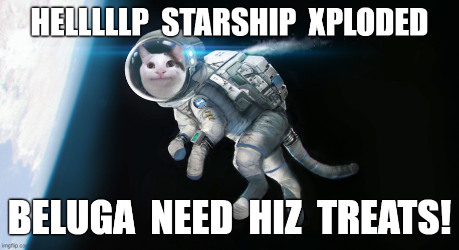 BELUGA IN SPACE | HELLLLLP  STARSHIP  XPLODED; BELUGA  NEED  HIZ  TREATS! | image tagged in beluga,cat,belugacat,space,astronaut,treats | made w/ Imgflip meme maker