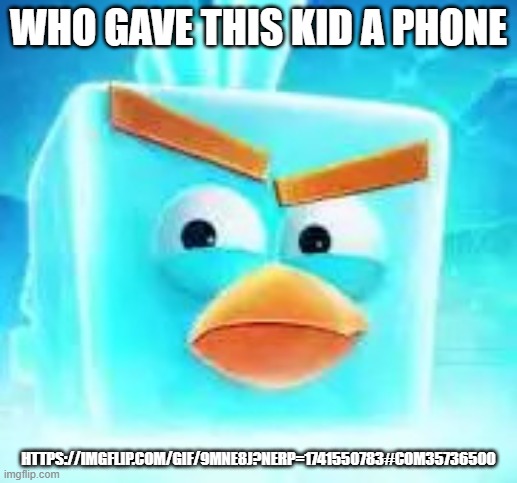 Annoying ahh kid | WHO GAVE THIS KID A PHONE; HTTPS://IMGFLIP.COM/GIF/9MNE8J?NERP=1741550783#COM35736500 | image tagged in ice bird | made w/ Imgflip meme maker