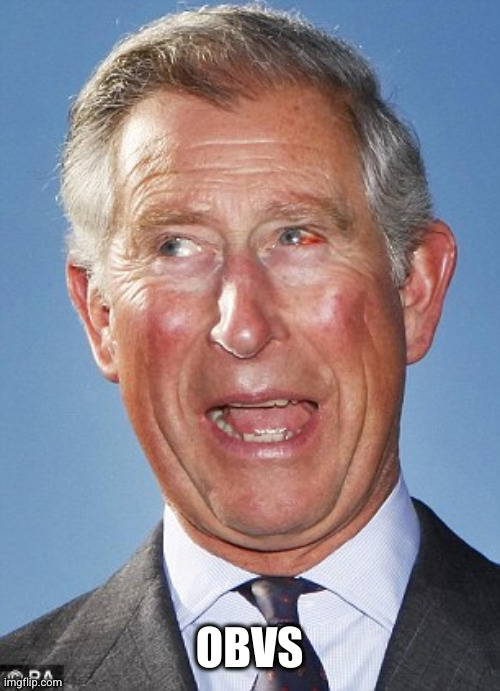 prince charles | OBVS | image tagged in prince charles | made w/ Imgflip meme maker