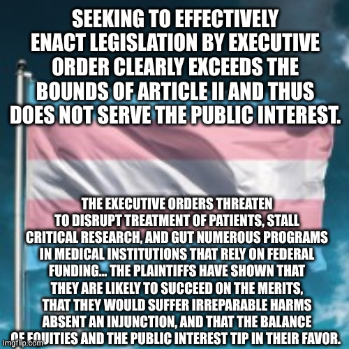 PFLAG VS. TRUMP wins preliminary injunction blocking anti-Trans Executive Orders on healthcare - March 4, 2025 | SEEKING TO EFFECTIVELY ENACT LEGISLATION BY EXECUTIVE ORDER CLEARLY EXCEEDS THE BOUNDS OF ARTICLE II AND THUS DOES NOT SERVE THE PUBLIC INTEREST. THE EXECUTIVE ORDERS THREATEN TO DISRUPT TREATMENT OF PATIENTS, STALL CRITICAL RESEARCH, AND GUT NUMEROUS PROGRAMS IN MEDICAL INSTITUTIONS THAT RELY ON FEDERAL FUNDING... THE PLAINTIFFS HAVE SHOWN THAT THEY ARE LIKELY TO SUCCEED ON THE MERITS, THAT THEY WOULD SUFFER IRREPARABLE HARMS ABSENT AN INJUNCTION, AND THAT THE BALANCE OF EQUITIES AND THE PUBLIC INTEREST TIP IN THEIR FAVOR. | image tagged in trans flag,memes,transgender,transphobic,injunction,donald trump is a loser | made w/ Imgflip meme maker