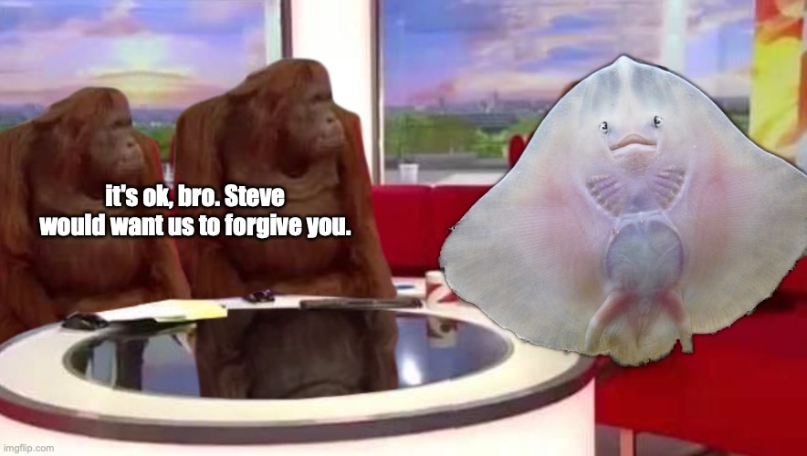 MONKE | it's ok, bro. Steve would want us to forgive you. | image tagged in where monkey | made w/ Imgflip meme maker