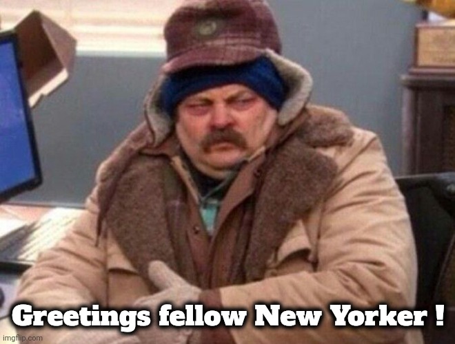 Ron Swanson Winter coat | Greetings fellow New Yorker ! | image tagged in ron swanson winter coat | made w/ Imgflip meme maker