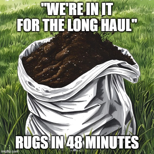 "WE'RE IN IT FOR THE LONG HAUL"; RUGS IN 48 MINUTES | image tagged in cryptocurrency | made w/ Imgflip meme maker