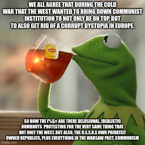 Just wait 'till they hear about the various famines that happened under communism. | WE ALL AGREE THAT DURING THE COLD WAR THAT THE WEST WANTED TO BRING DOWN COMMUNIST INSTITUTION TO NOT ONLY BE ON TOP, BUT TO ALSO GET RID OF A CORRUPT DYSTOPIA IN EUROPE. SO HOW THE F%$# ARE THERE DELUSIONAL, IDEALISTIC NUMBNUTS  PROTESTING FOR THE VERY SAME THING THAT NOT ONLY THE WEST, BUT ALSO, THE U.S.S.R.S OWN PRIVATELY OWNED REPUBLICS, PLUS EVERYTHING IN THE WARSAW PACT, COMMUNISM | image tagged in memes,kermit the frog,stupid liberals,stupid idealists,democracy,i love democracy | made w/ Imgflip meme maker