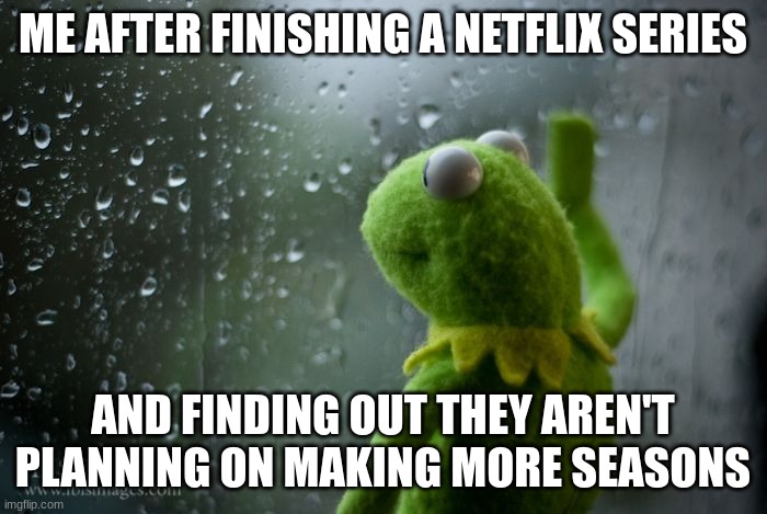 ME AFTER FINISHING A NETFLIX SERIES AND FINDING OUT THEY AREN'T PLANNING ON MAKING MORE SEASONS | image tagged in kermit window | made w/ Imgflip meme maker