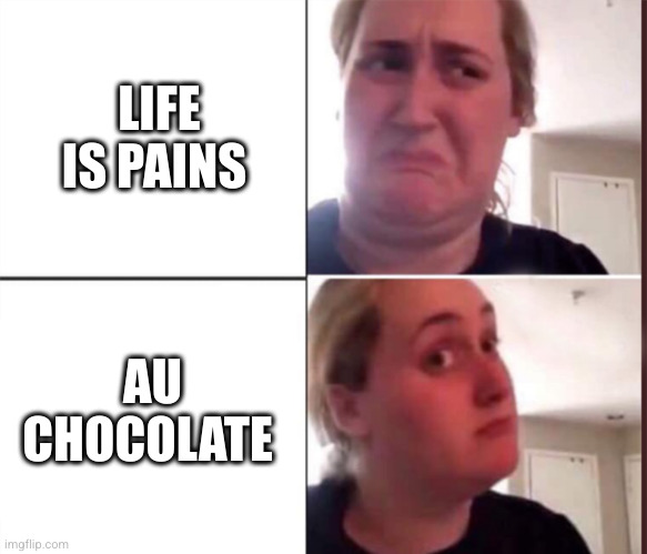 pains au chocolate | LIFE IS PAINS; AU CHOCOLATE | image tagged in kombucha girl,pains au chocolate,oh wow are you actually reading these tags | made w/ Imgflip meme maker