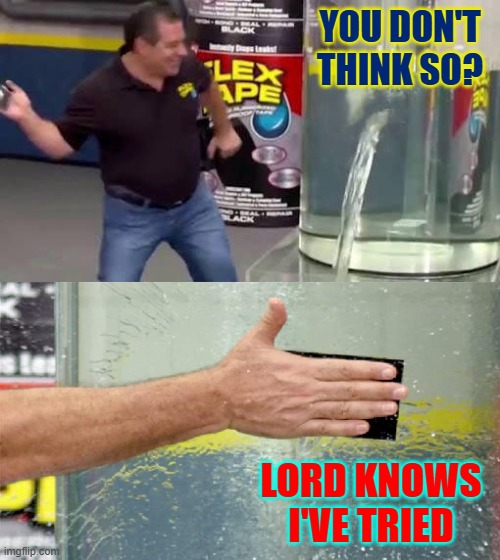 YOU DON'T THINK SO? LORD KNOWS I'VE TRIED | made w/ Imgflip meme maker