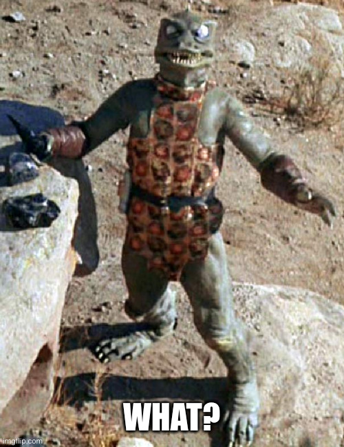 Star Trek The Gorn Whaaa? | WHAT? | image tagged in star trek the gorn whaaa | made w/ Imgflip meme maker