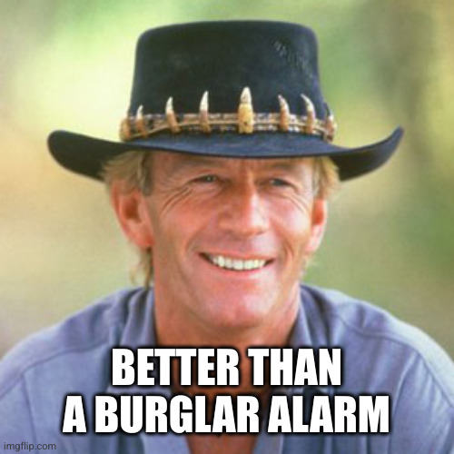 australianguy | BETTER THAN A BURGLAR ALARM | image tagged in australianguy | made w/ Imgflip meme maker