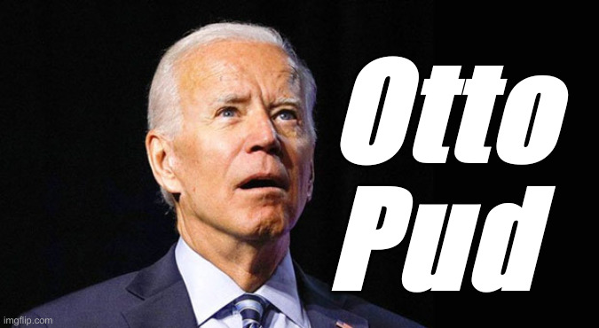 With An Auto Pen | Otto Pud | image tagged in confused joe biden,political meme,politics,funny memes,funny | made w/ Imgflip meme maker