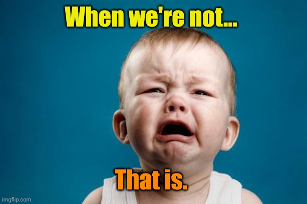 BABY CRYING | When we're not... That is. | image tagged in baby crying | made w/ Imgflip meme maker