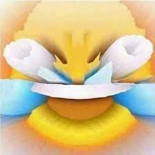 Laughing crying emoji with open eyes  | image tagged in laughing crying emoji with open eyes | made w/ Imgflip meme maker