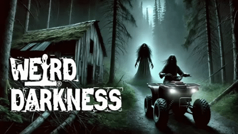 “SOMETHING WATCHES FROM THE TREES: True Paranormal Encounters In The Wilderness” #WeirdDarkness
