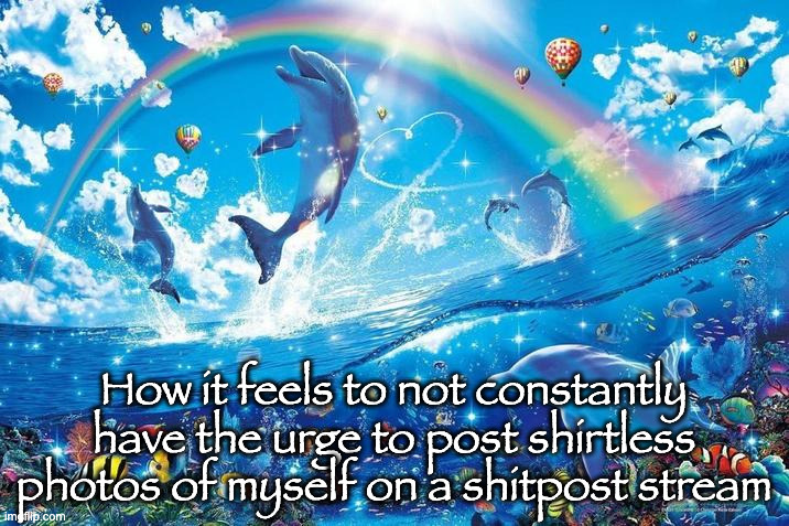 Happy dolphin rainbow | How it feels to not constantly have the urge to post shirtless photos of myself on a shitpost stream | image tagged in happy dolphin rainbow | made w/ Imgflip meme maker