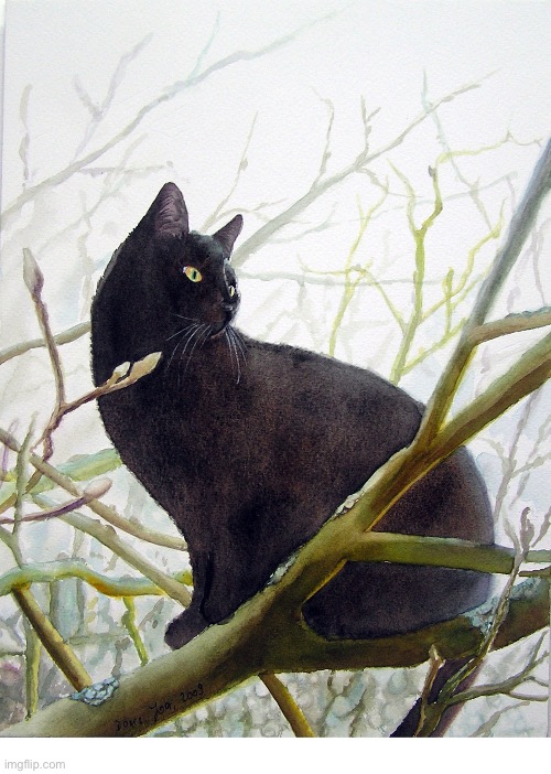 Spring is in the air… | image tagged in cats | made w/ Imgflip meme maker
