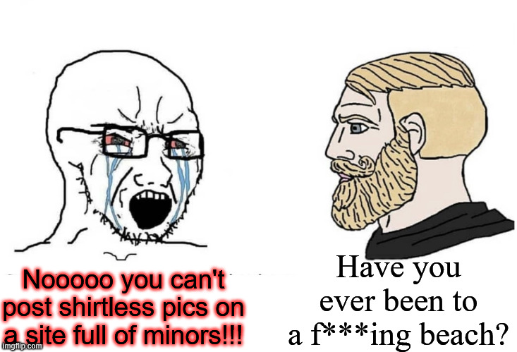 No shit I've seen people going around basically naked, making love in the sand, etc. on a public beach... also full of minors. | Have you ever been to a f***ing beach? Nooooo you can't post shirtless pics on a site full of minors!!! | image tagged in soyboy vs yes chad,shirtless,why would you say something so controversial yet so brave | made w/ Imgflip meme maker