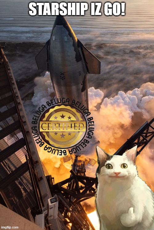 Beluga Inspected | STARSHIP IZ GO! | image tagged in beluga,belugacat,cat,space,rocket | made w/ Imgflip meme maker