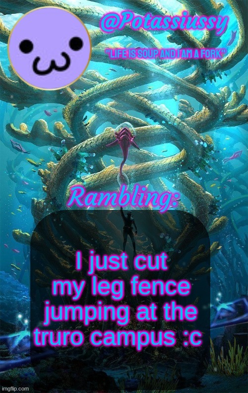 Another shitty announcement template | I just cut my leg fence jumping at the truro campus :c | image tagged in another shitty announcement template | made w/ Imgflip meme maker