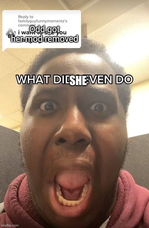 WHAT DID I EVEN DO??? | Odd got her mod removed; SHE | image tagged in what did i even do | made w/ Imgflip meme maker