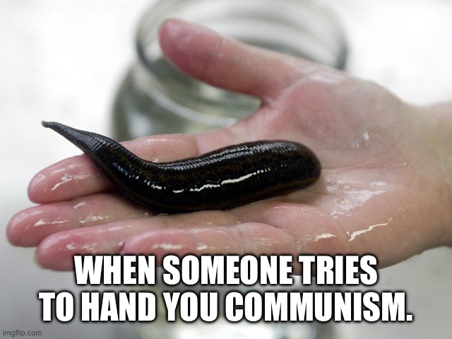 Leech | WHEN SOMEONE TRIES TO HAND YOU COMMUNISM. | image tagged in leech | made w/ Imgflip meme maker