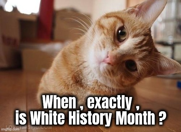 Curious Question Cat | When , exactly , is White History Month ? | image tagged in curious question cat | made w/ Imgflip meme maker