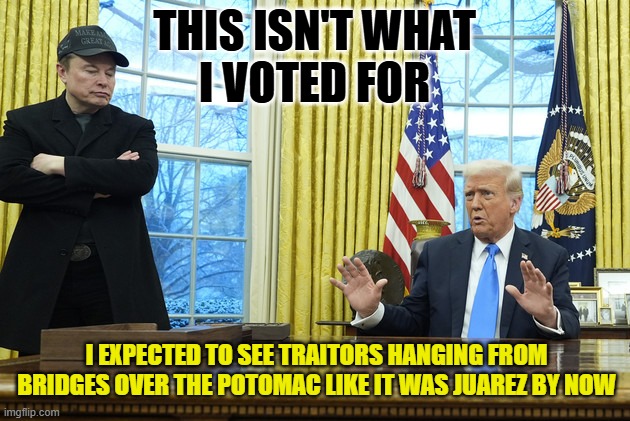 Hang the guilty | THIS ISN'T WHAT
I VOTED FOR; I EXPECTED TO SEE TRAITORS HANGING FROM BRIDGES OVER THE POTOMAC LIKE IT WAS JUAREZ BY NOW | image tagged in traitors,execution,maga,america first,government,trump | made w/ Imgflip meme maker