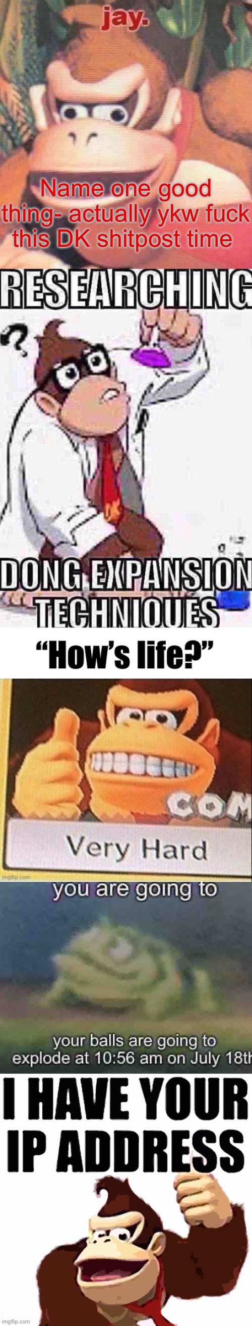 Name one good thing- actually ykw fuck this DK shitpost time | image tagged in jay announcement temp,researching dong expansion techniques,how s life,you are going to die,dk i have your ip address | made w/ Imgflip meme maker