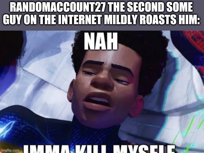 Nah imma kill myself | RANDOMACCOUNT27 THE SECOND SOME GUY ON THE INTERNET MILDLY ROASTS HIM: | image tagged in nah imma kill myself | made w/ Imgflip meme maker