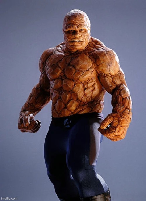 The Thing (Fantastic Four 2005) | image tagged in the thing fantastic four 2005 | made w/ Imgflip meme maker