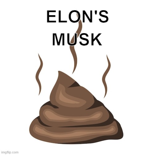 Elon's Musk | ELON'S; MUSK | made w/ Imgflip meme maker