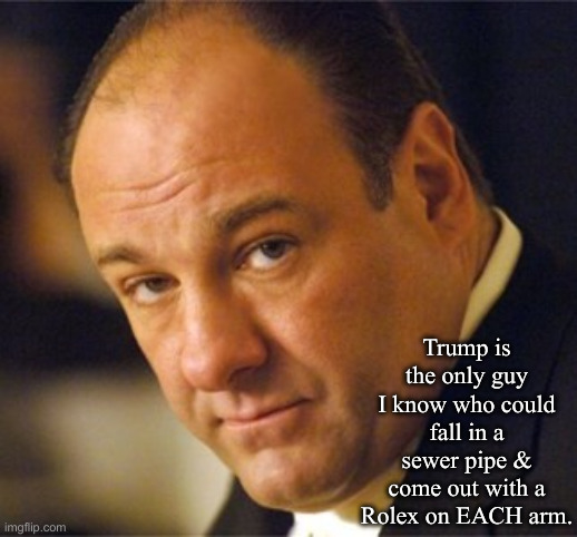 Pray Trump's Team Can Keep Him Safe | Trump is the only guy I know who could fall in a sewer pipe & come out with a Rolex on EACH arm. | image tagged in be tony soprano,political meme,politics,funny memes,funny,donald trump | made w/ Imgflip meme maker