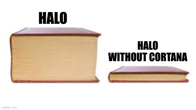 Halo Lore | HALO; HALO WITHOUT CORTANA | image tagged in big book small book,halo,memes,lore,gaming,video games | made w/ Imgflip meme maker