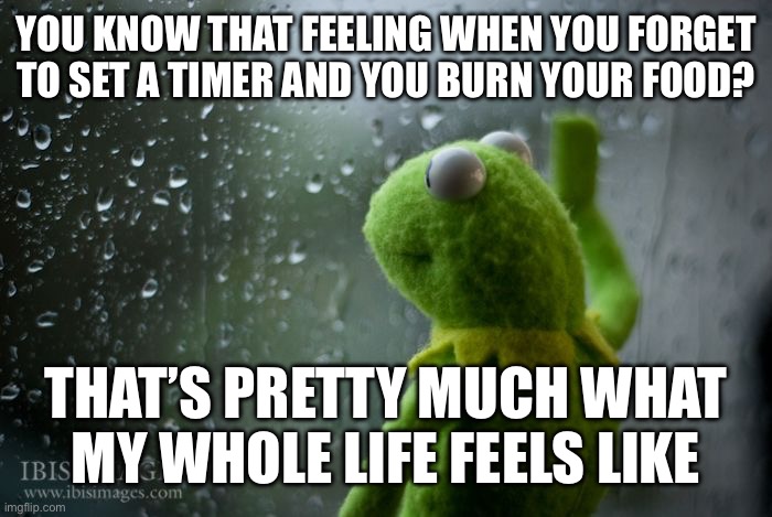 Food | YOU KNOW THAT FEELING WHEN YOU FORGET TO SET A TIMER AND YOU BURN YOUR FOOD? THAT’S PRETTY MUCH WHAT MY WHOLE LIFE FEELS LIKE | image tagged in kermit window | made w/ Imgflip meme maker