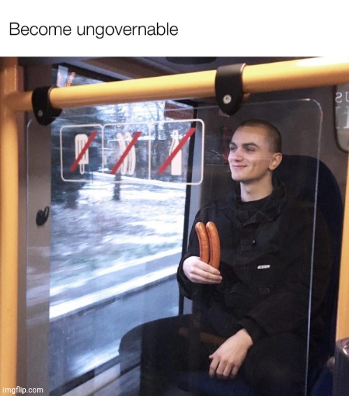 Become ungovernable | image tagged in become ungovernable | made w/ Imgflip meme maker