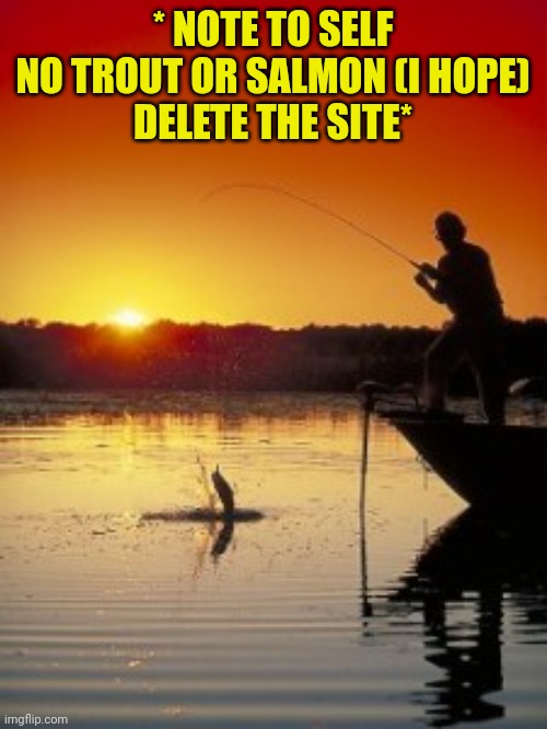 Fishing | * NOTE TO SELF
NO TROUT OR SALMON (I HOPE)
DELETE THE SITE* | image tagged in fishing | made w/ Imgflip meme maker