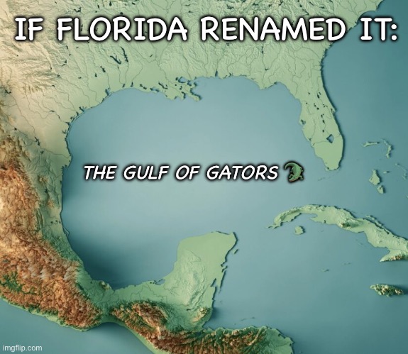 Florida Names The Gulf | IF FLORIDA RENAMED IT:; THE GULF OF GATORS 🐊 | image tagged in gulf of what,mexico,usa,memes | made w/ Imgflip meme maker