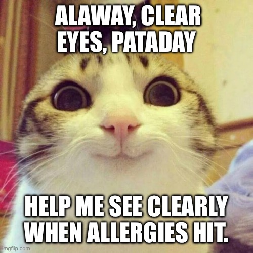 Smiling Cat | ALAWAY, CLEAR EYES, PATADAY; HELP ME SEE CLEARLY WHEN ALLERGIES HIT. | image tagged in memes,smiling cat | made w/ Imgflip meme maker