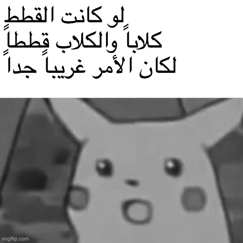 Hmmmm | لو كانت القطط كلاباً والكلاب قططاً لكان الأمر غريباً جداً | image tagged in memes,surprised pikachu,dank memes,language,wisdom,animals | made w/ Imgflip meme maker