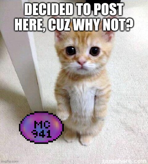 Cute Cat Meme | DECIDED TO POST HERE, CUZ WHY NOT? | image tagged in memes,cute cat,bruh | made w/ Imgflip meme maker