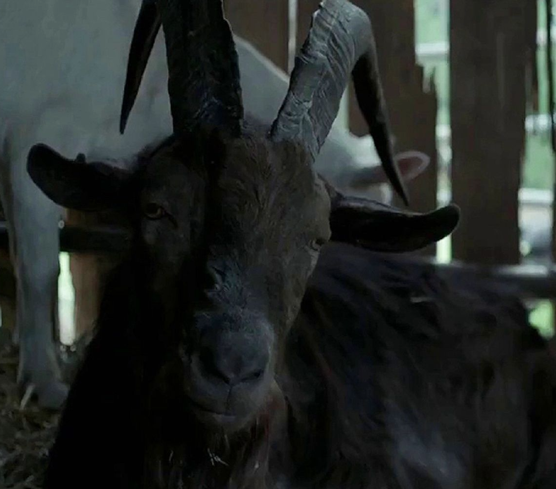 Wouldst Thou 2 Blank Meme Template