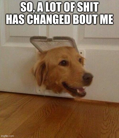 Dog door | SO, A LOT OF SHIT HAS CHANGED BOUT ME | image tagged in dog door | made w/ Imgflip meme maker