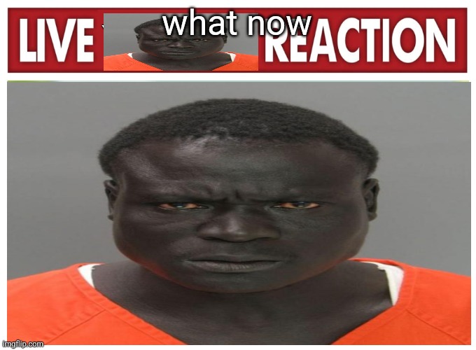 live convict reaction | what now | image tagged in live convict reaction | made w/ Imgflip meme maker