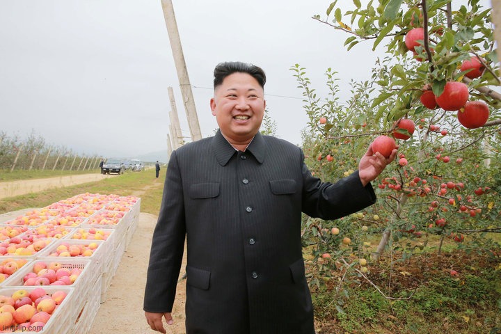 kim jong-un pomegranate | image tagged in kim jong-un pomegranate | made w/ Imgflip meme maker