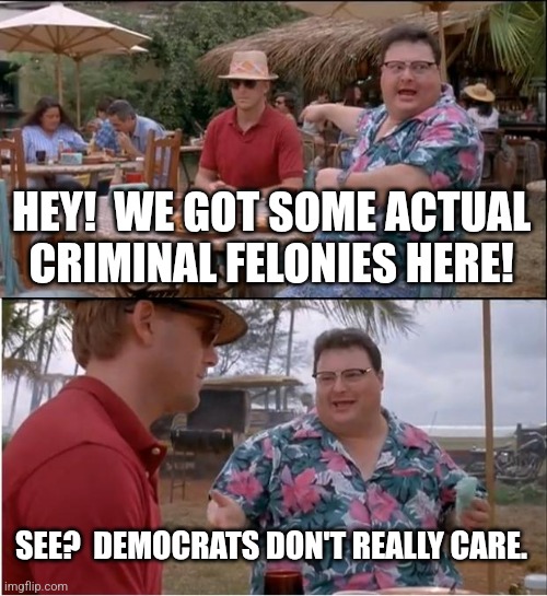 See Nobody Cares Meme | HEY!  WE GOT SOME ACTUAL CRIMINAL FELONIES HERE! SEE?  DEMOCRATS DON'T REALLY CARE. | image tagged in memes,see nobody cares | made w/ Imgflip meme maker