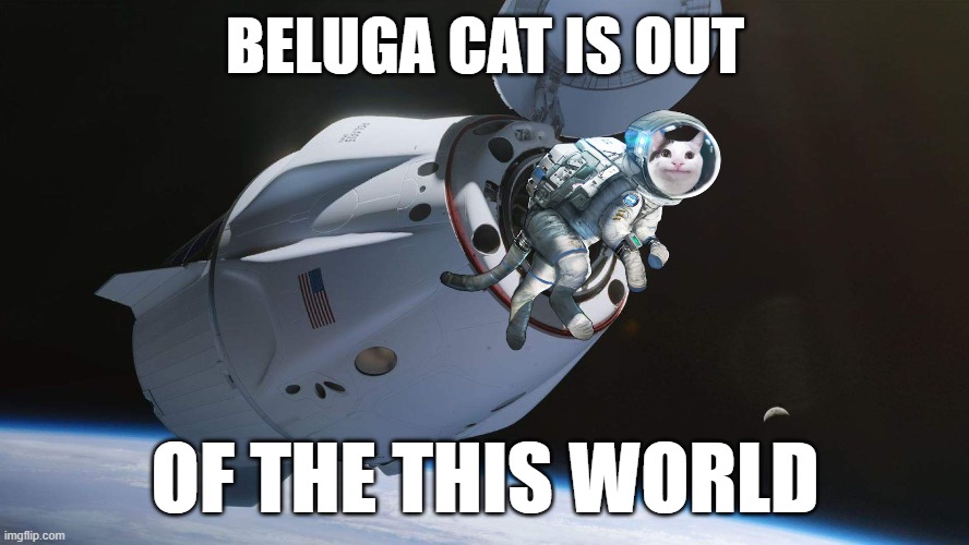 Beluga Cat In Orbit | BELUGA CAT IS OUT; OF THE THIS WORLD | image tagged in beluga,belugacat,cat,space,orbit | made w/ Imgflip meme maker