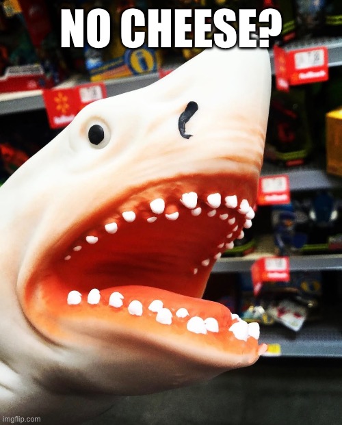 AKA No Easy Spray? | NO CHEESE? | image tagged in meme,puppet shark,no bitches | made w/ Imgflip meme maker