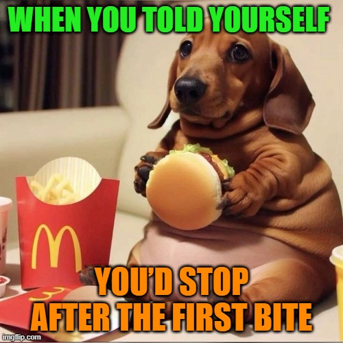 that moment! | WHEN YOU TOLD YOURSELF; YOU’D STOP AFTER THE FIRST BITE | image tagged in memes | made w/ Imgflip meme maker
