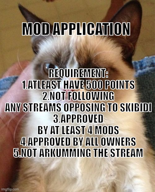 Mod application | MOD APPLICATION; REQUIREMENT:
1.ATLEAST HAVE 500 POINTS
2.NOT FOLLOWING ANY STREAMS OPPOSING TO SKIBIDI
3.APPROVED BY AT LEAST 4 MODS
4.APPROVED BY ALL OWNERS
5.NOT ARKUMMING THE STREAM | image tagged in grumpy cat | made w/ Imgflip meme maker