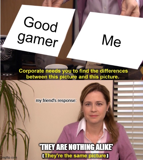 They're The Same Picture | Good gamer; Me; my friend's response:; 'THEY ARE NOTHING ALIKE'; (                                                                              ) | image tagged in memes,they're the same picture | made w/ Imgflip meme maker